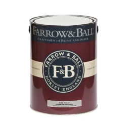 Farrow & Ball Exterior Masonry Hay - 5L -Home Decor Shop 12843709 8174951868968122