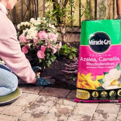 Miracle Gro Premium Azalea, Camellia & Rhododendron Ericaceous Compost - 40L 11 Miracle Gro Premium Azalea, Camellia & Rhododendron Ericaceous Compost - 40L -Home Decor Shop 12882812 1404843671956442