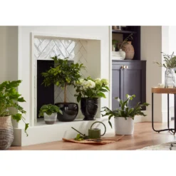 Regent Glazed Urn Planter - 21cm -Home Decor Shop 12885371 1614948242968073