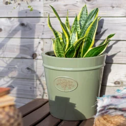 Country Living Heritage Sage Cone Pot - 33cm -Home Decor Shop 13188755 4344933183213293