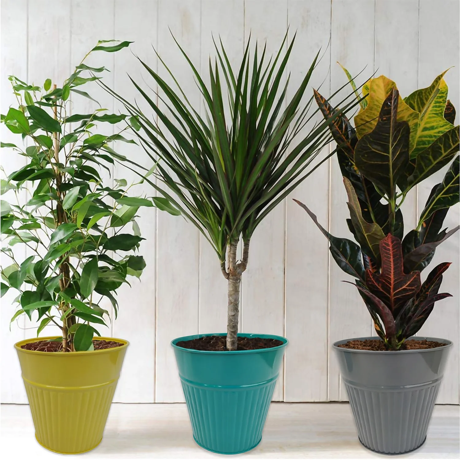 Ribbed Planter (3 Colour Mix) - 18cm 2 Ribbed Planter (3 Colour Mix) - 18cm - Image 2