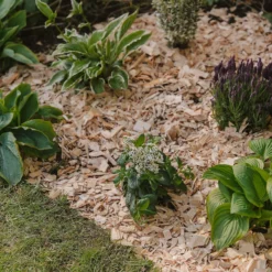 Westland Rustic Wood Chips - 60L 6 Westland Rustic Wood Chips - 60L -Home Decor Shop 13280769 1564929084866478