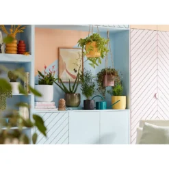 Black Ebano Plant Pot - 18cm -Home Decor Shop 13432919 1274948249875951