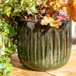 Chiswick Running Pot Green - 24cm -Home Decor Shop 13973645 1285011238620542