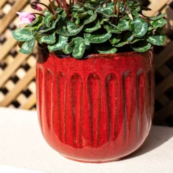 Chiswick Running Pot Red - 30cm -Home Decor Shop 13973649 6595011242826425