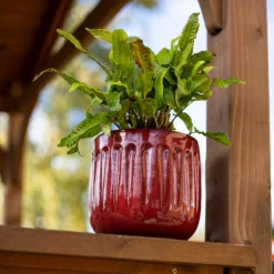 Chiswick Running Pot Red - 30cm -Home Decor Shop 13973649 7005011242786438