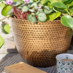 Suva Hammered Pot Bronze - 38cm -Home Decor Shop 13973655 9525011805626407